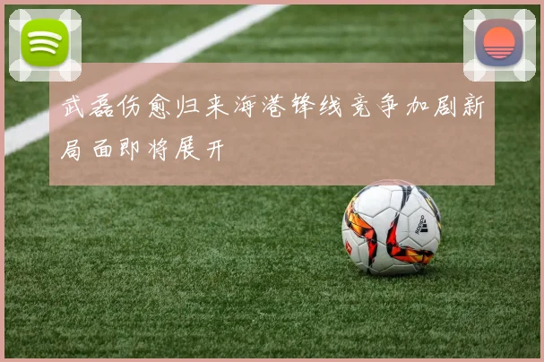 武磊伤愈归来海港锋线竞争加剧新局面即将展开