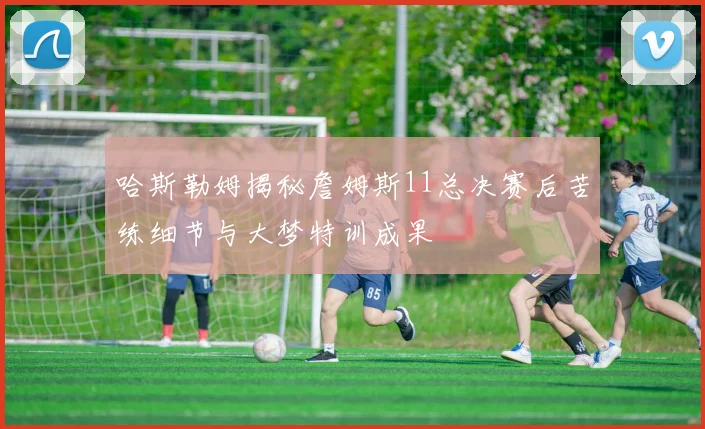 哈斯勒姆揭秘詹姆斯11总决赛后苦练细节与大梦特训成果